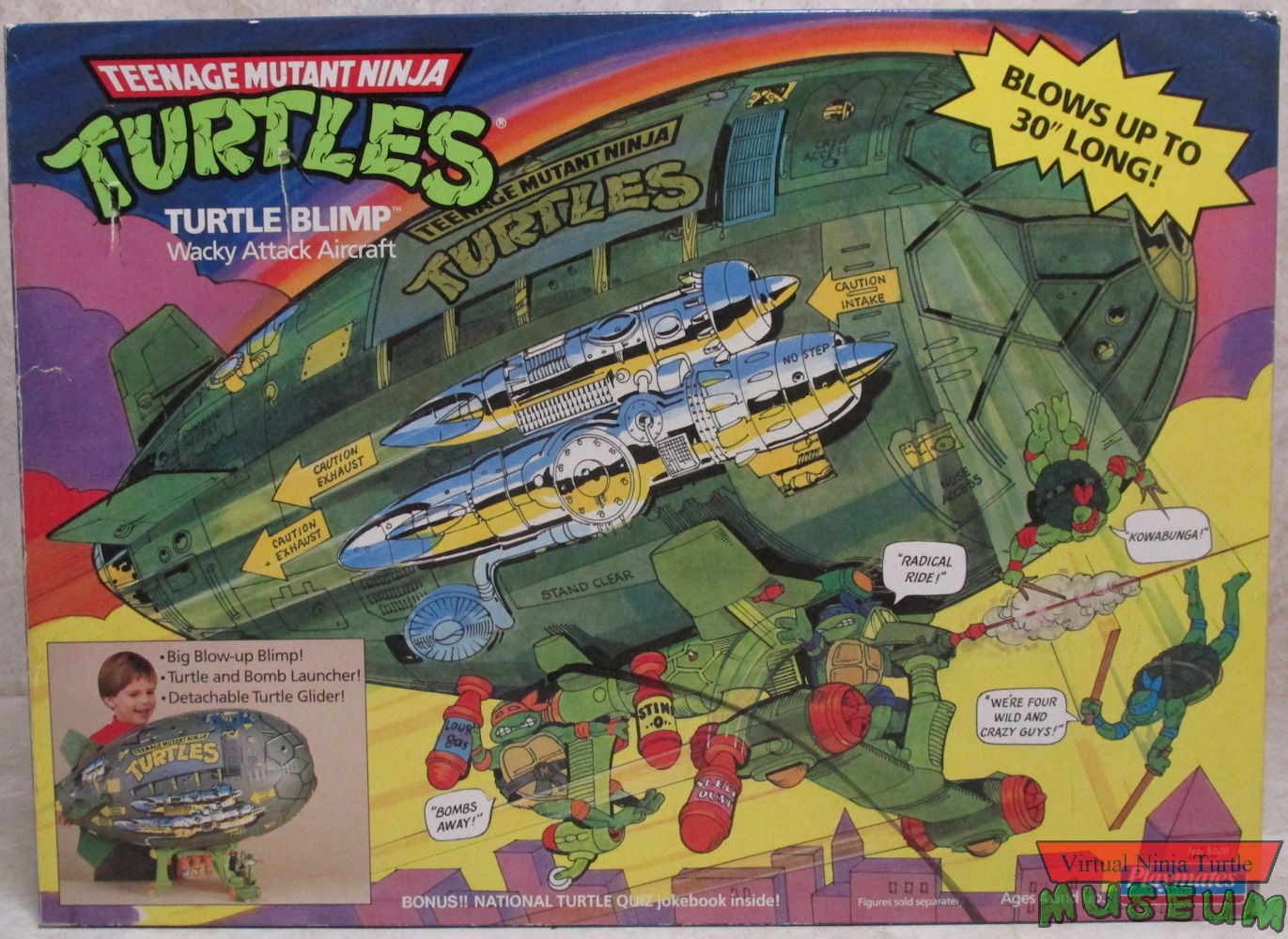 Turtle Blimp